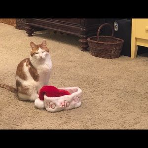 Meet your Posher, Robert